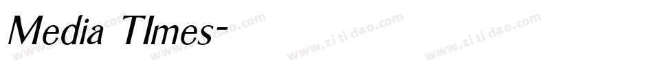 Media TImes字体转换